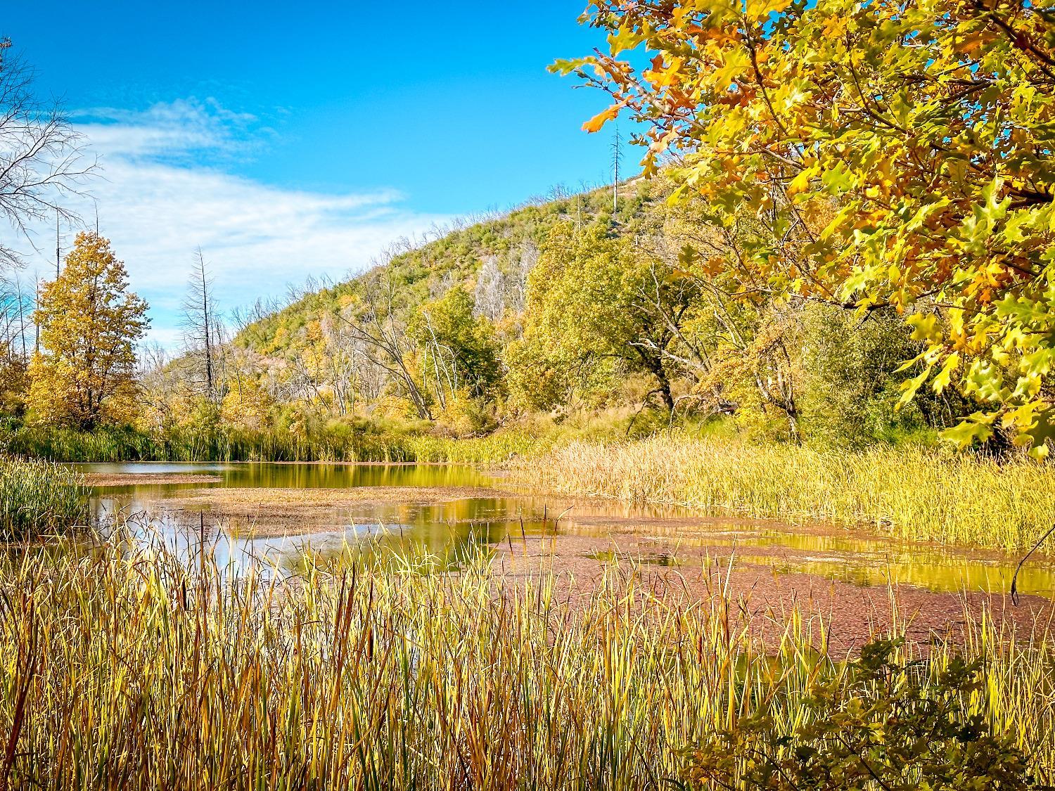Photo of 0 Ave A in Mountain Ranch, CA