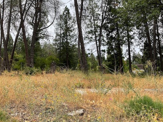 Photo of 89 Forest Meadows Dr in Murphys, CA