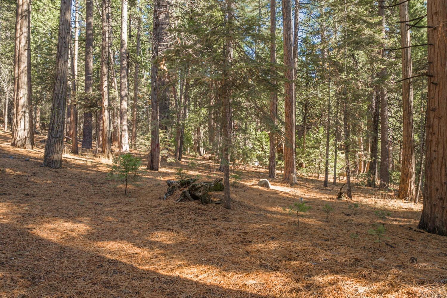 Photo of 1893 Cypress Point Dr in Arnold, CA