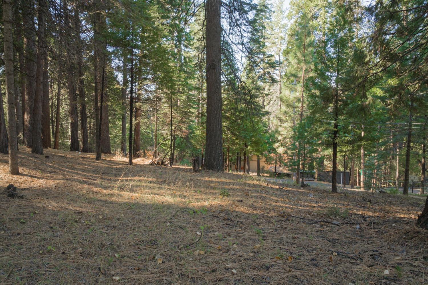 Photo of 1843 Meadow Dr in Arnold, CA