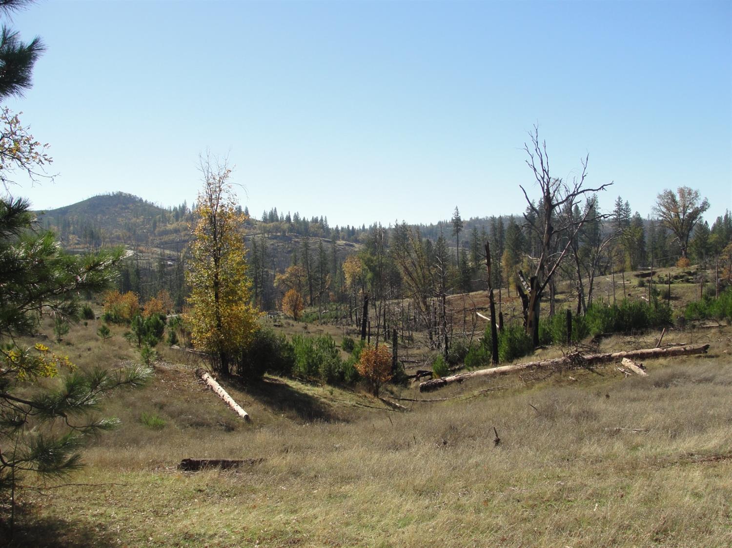 Photo of 5066 Gold Wash Creek Crk in Mountain Ranch, CA