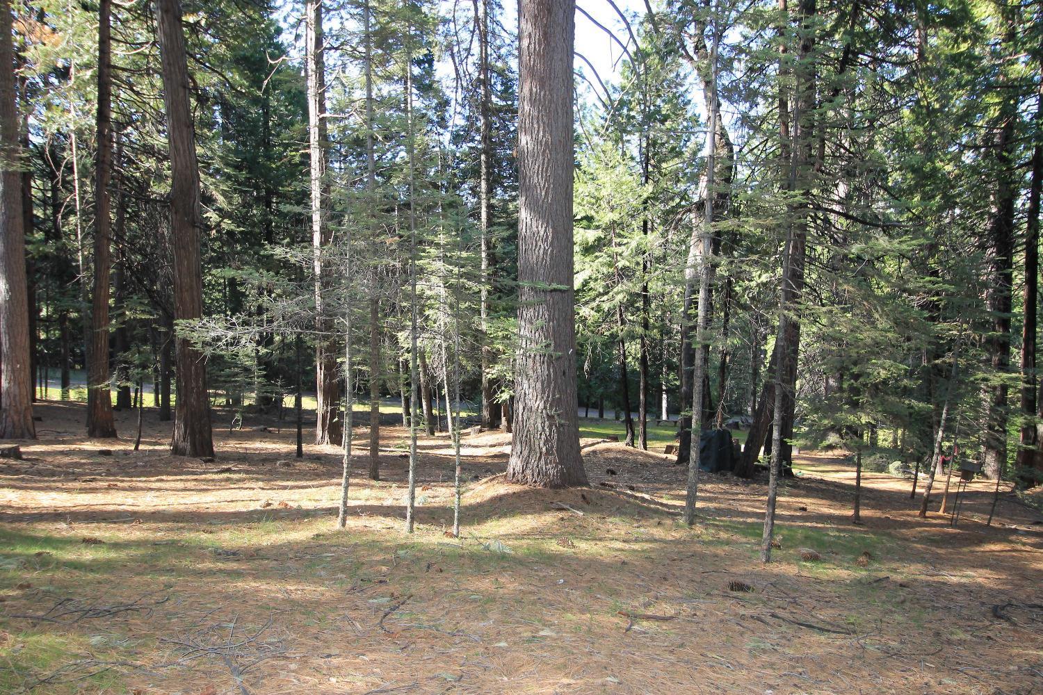 Photo of 1376 Meadow Dr in Arnold, CA