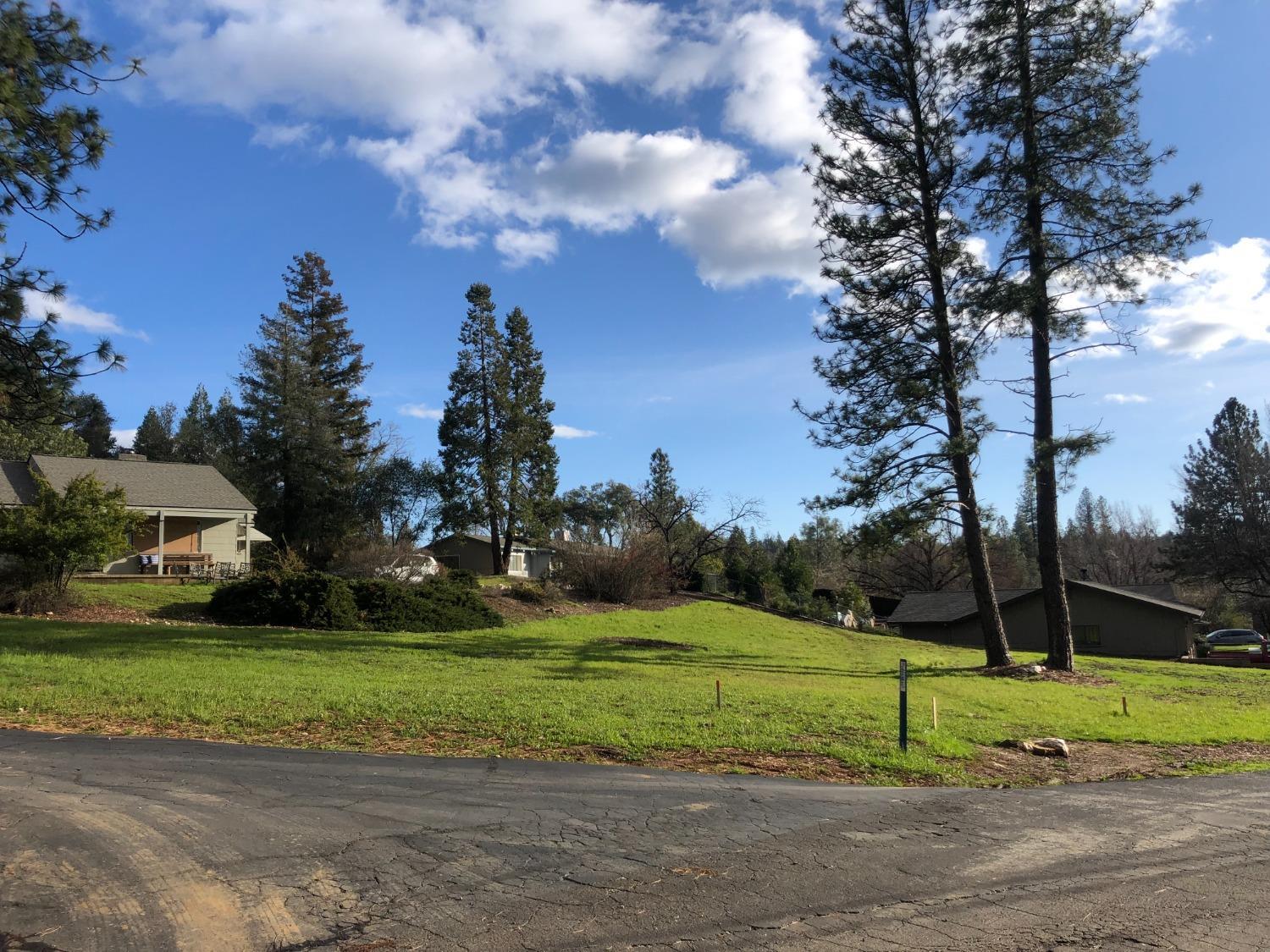 Photo of 0 Watkins St in Murphys, CA