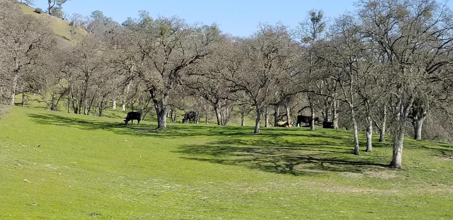 Photo of 6 Llanura Dr #00 in La Grange, CA
