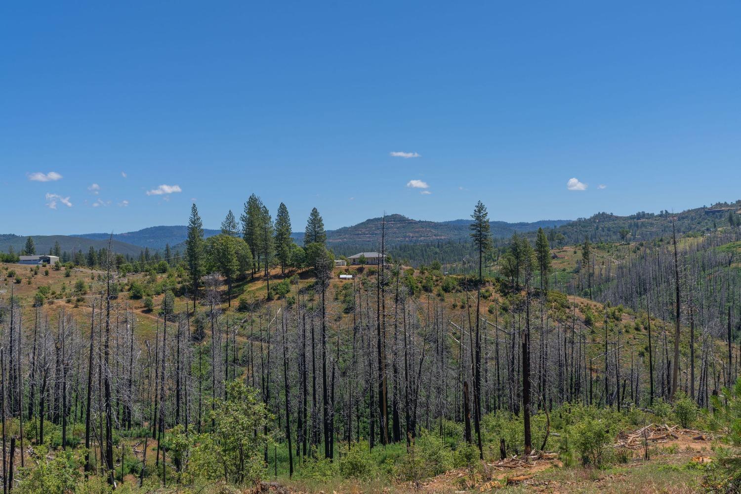 Photo of 6914 W Old Emigrant Trl in Mountain Ranch, CA