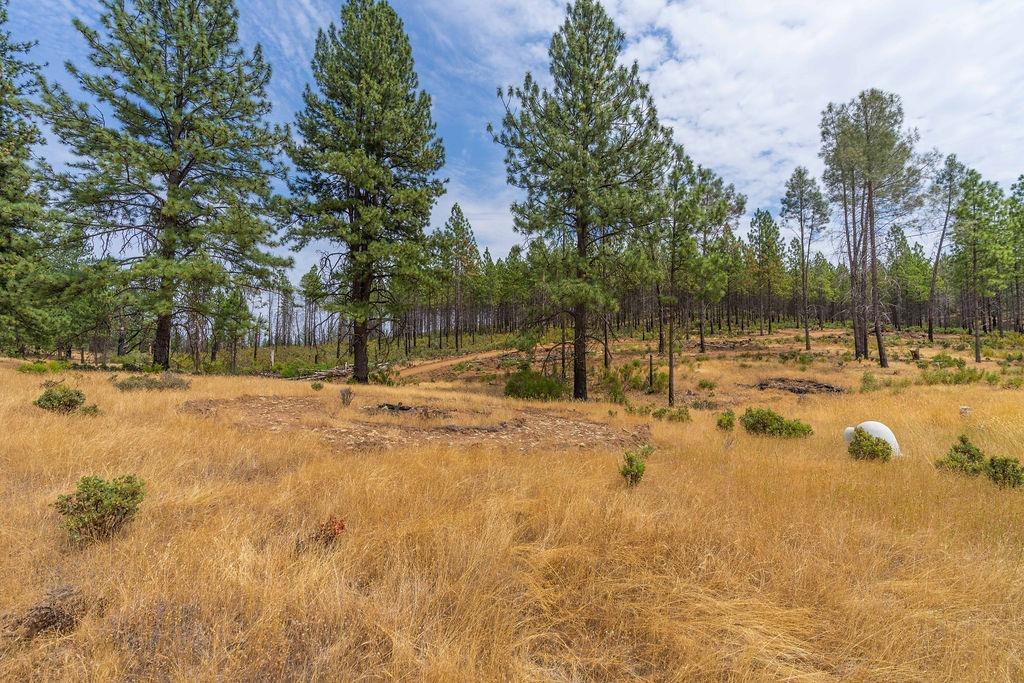 Photo of 7559 Alamo Rd in Mountain Ranch, CA