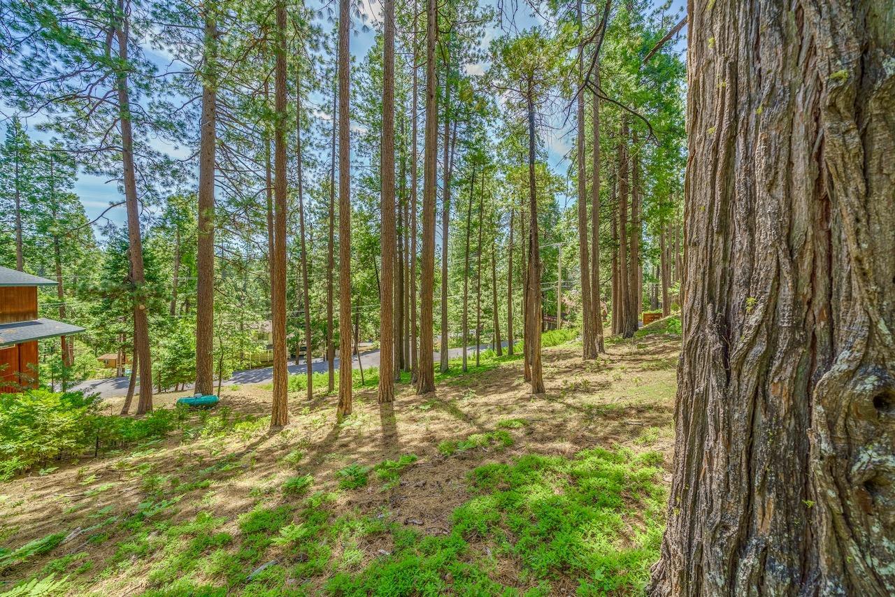 Photo of 2904 Venado Dr in Arnold, CA