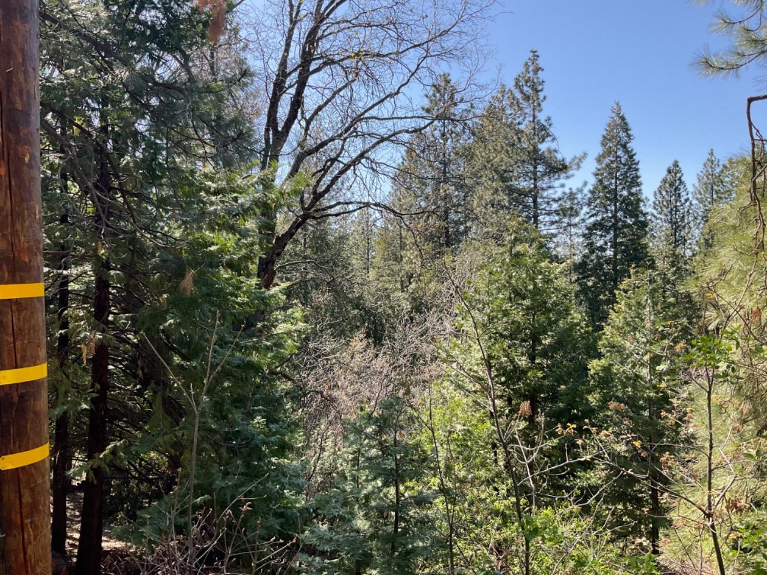 Photo of 3047 Crystal Wy in Arnold, CA
