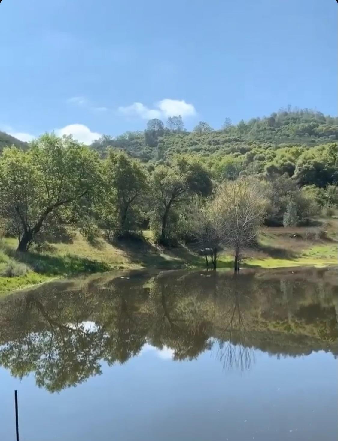Photo of 2689 Hunter St in Angels Camp, CA