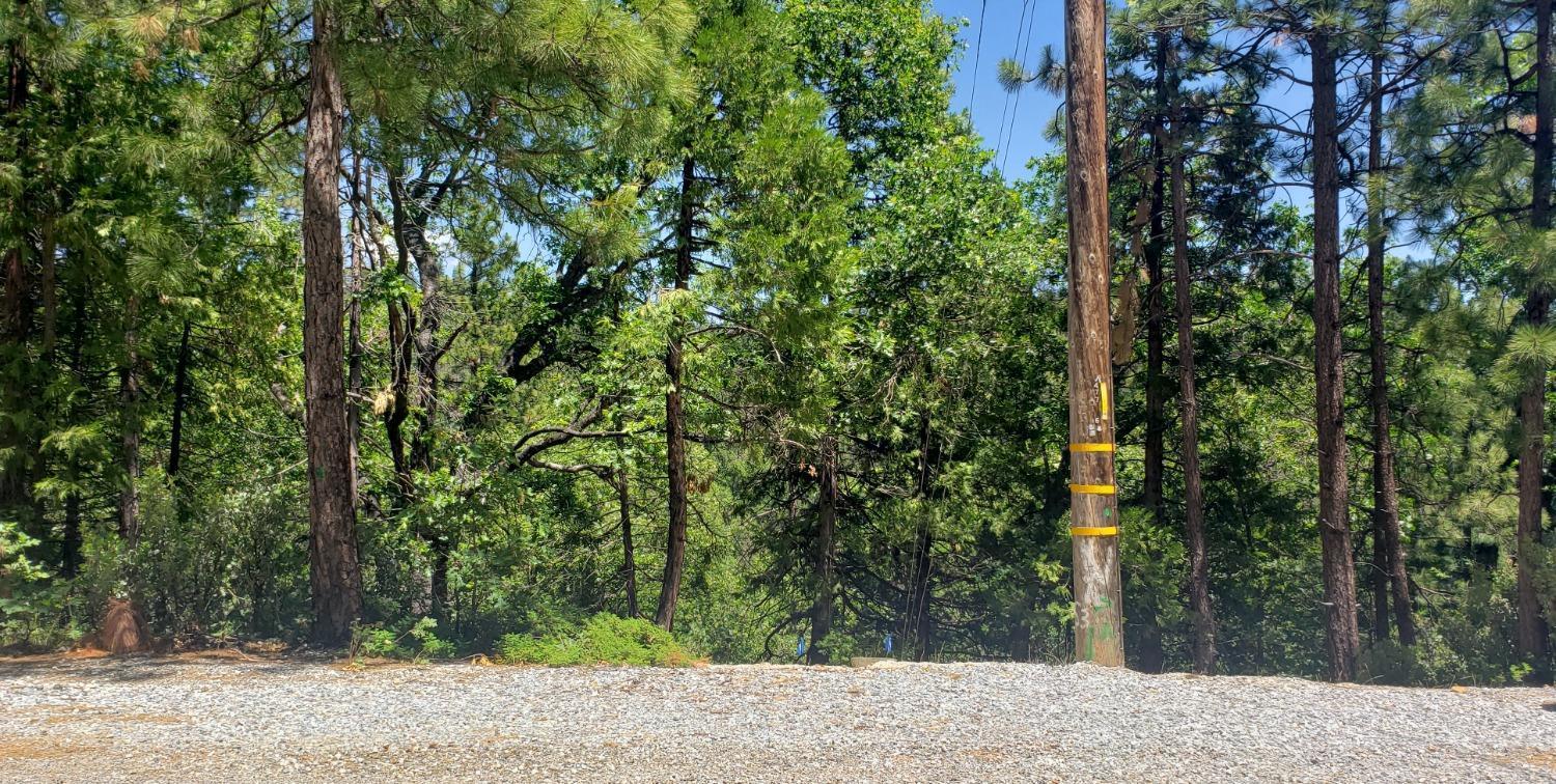 Photo of 487 Canyon View Dr in Hathaway Pines, CA