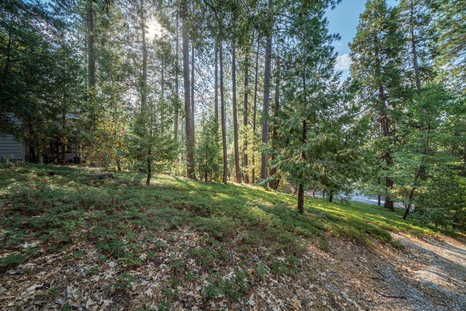 Photo of 51 Canterwood Ln in Murphys, CA