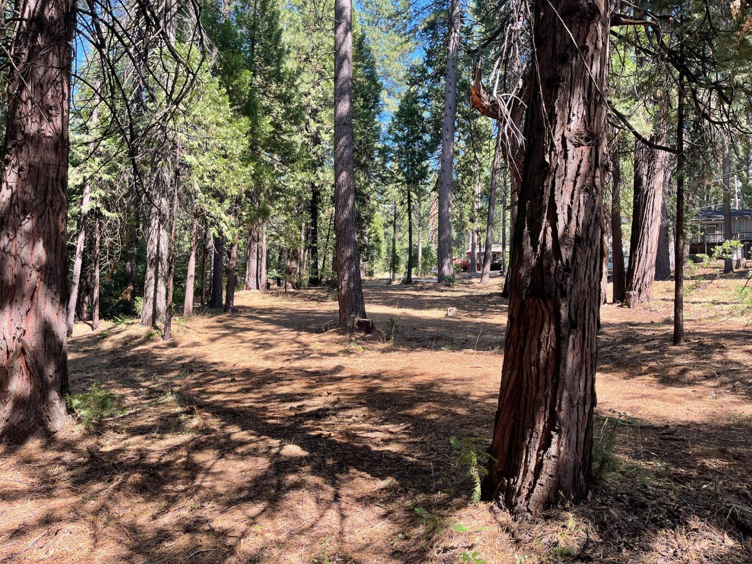 Photo of 2064 Meadowview Rd in Arnold, CA