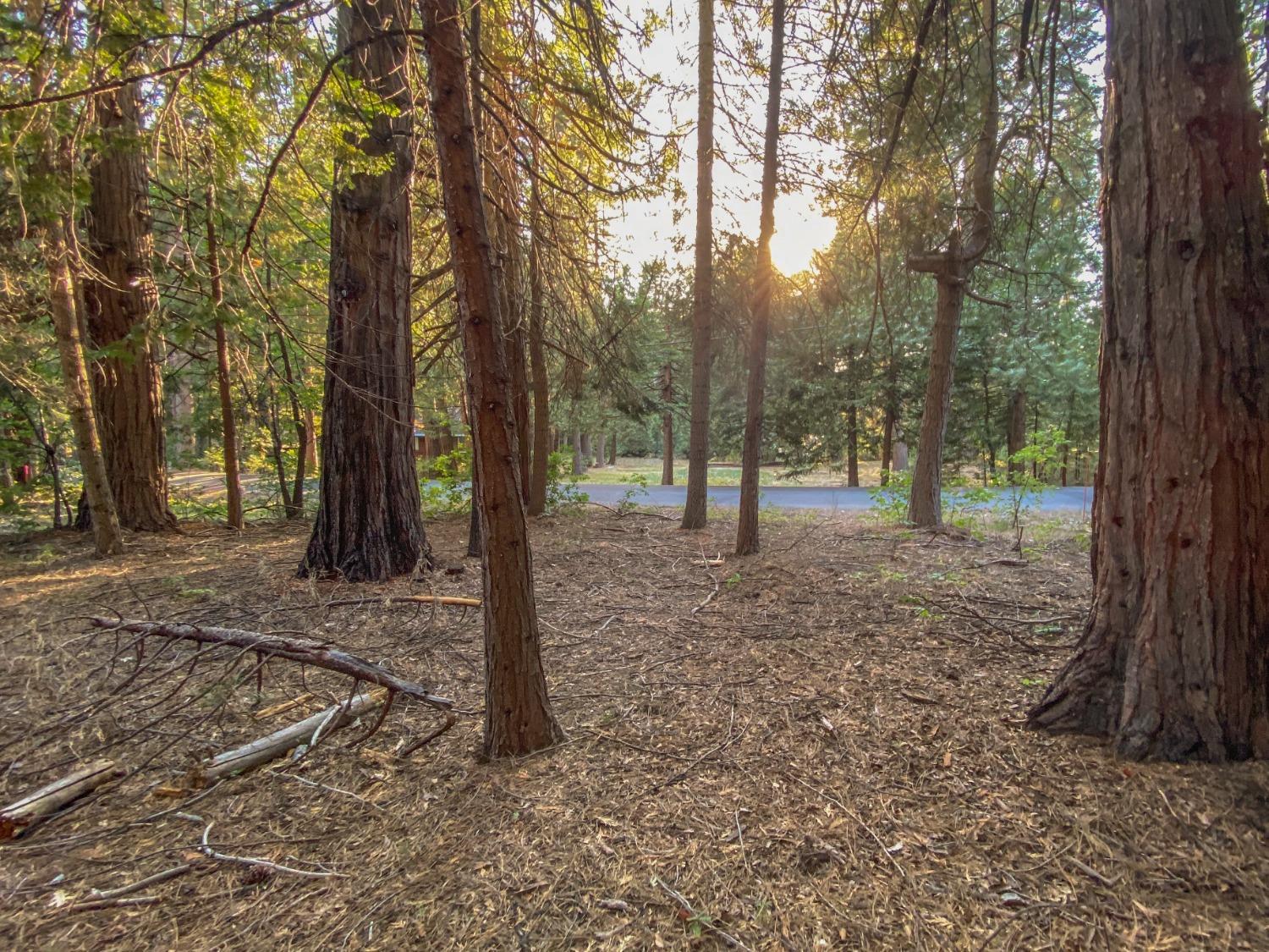 Photo of 3452 Gardner Flat Rd in Dorrington, CA