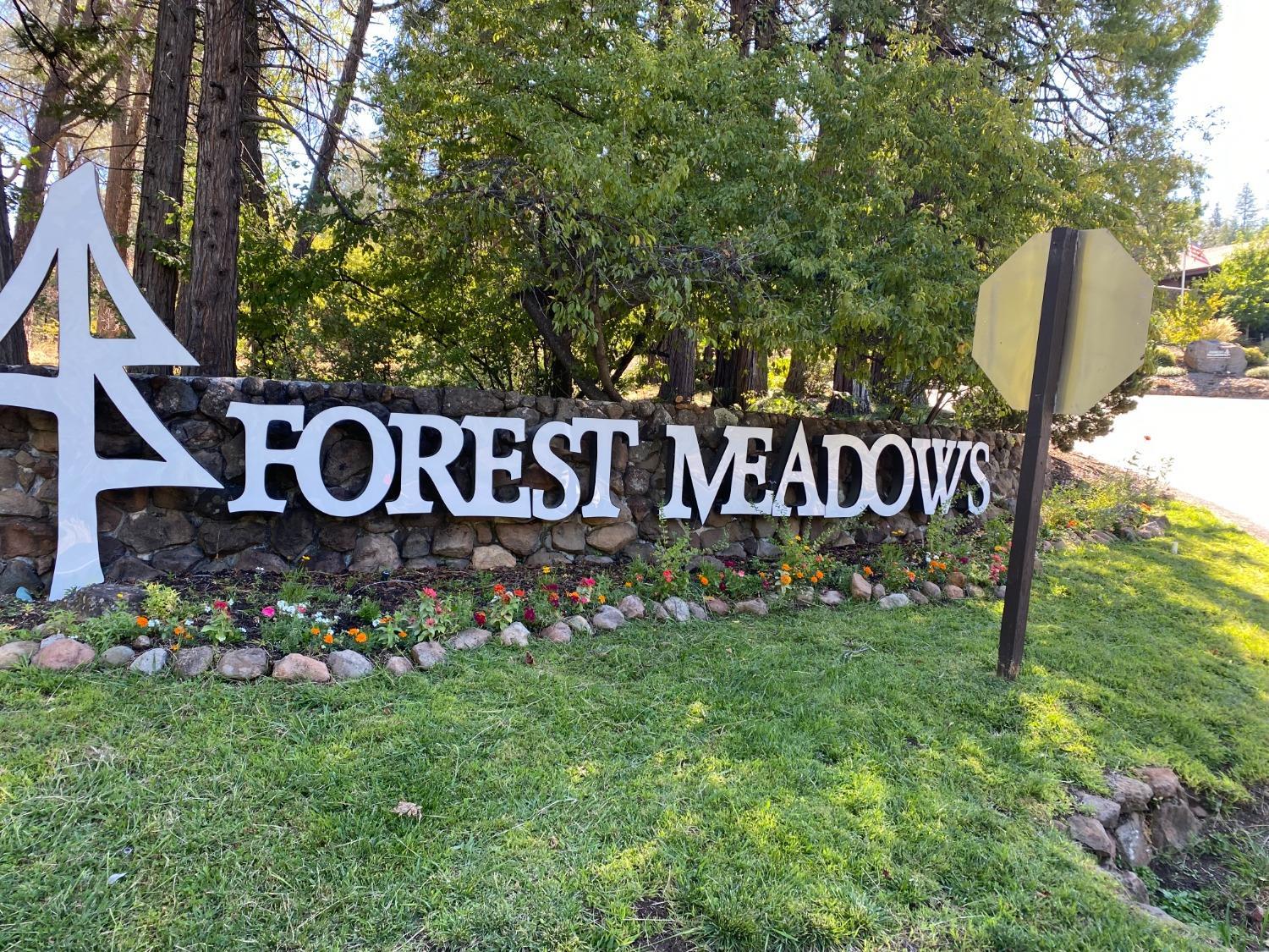 Photo of 440 Buckthorn Drive Dr in Murphys, CA