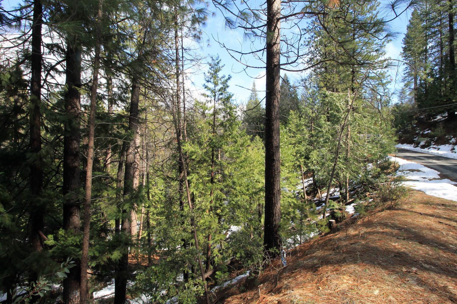 Photo of 265 Canyon View Dr in Hathaway Pines, CA