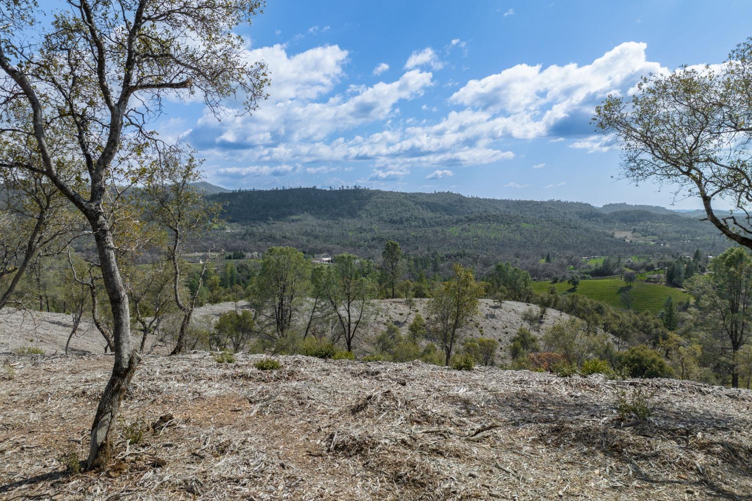 Photo of 0 Woodland Dr in Murphys, CA