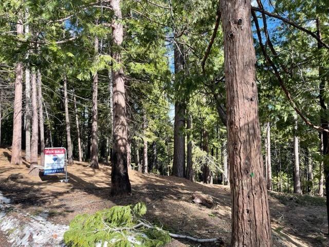 Photo of 576 Wikami Wy in Dorrington, CA