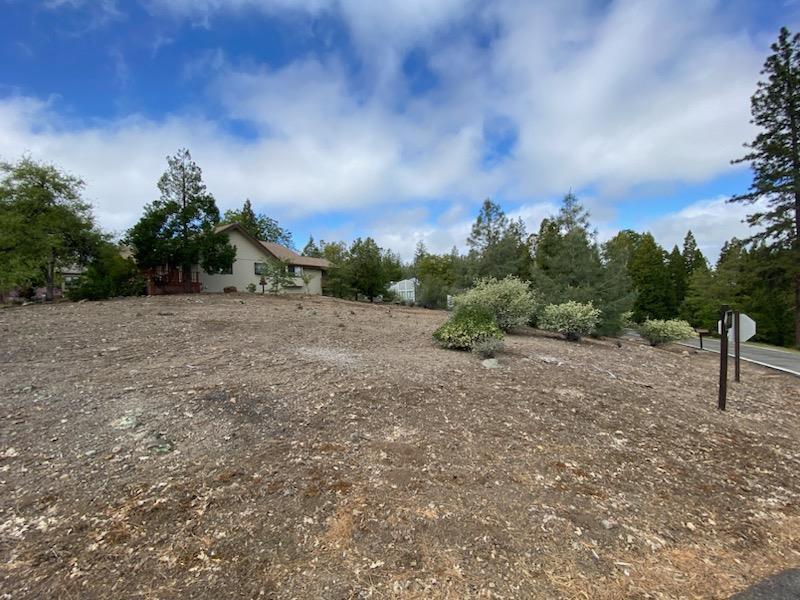 Photo of 827 Buckthorn in Murphys, CA