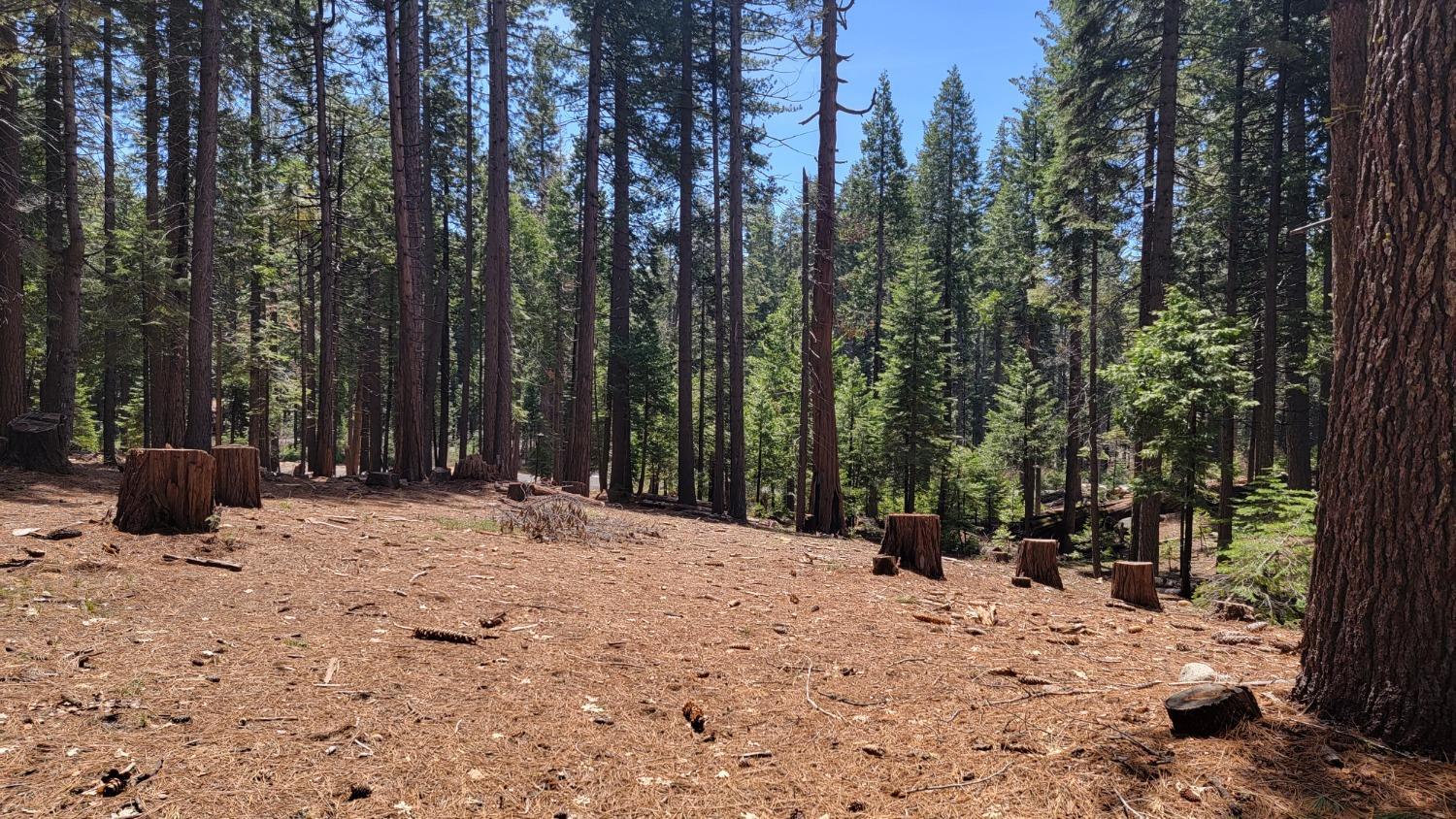 Photo of 3043 Shoshone Dr in Camp Connell, CA