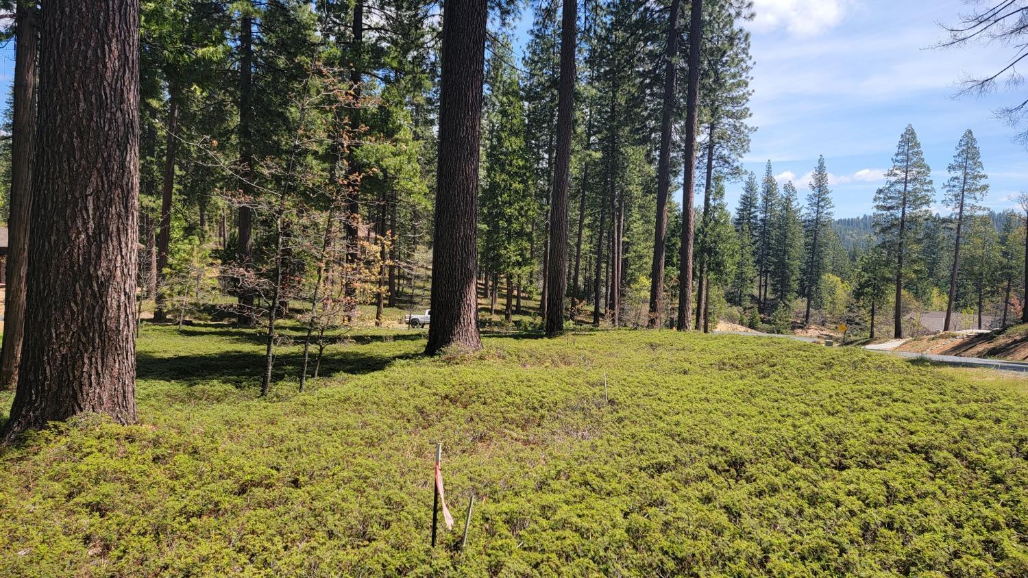 Photo of 0 Vireo Wy in Arnold, CA