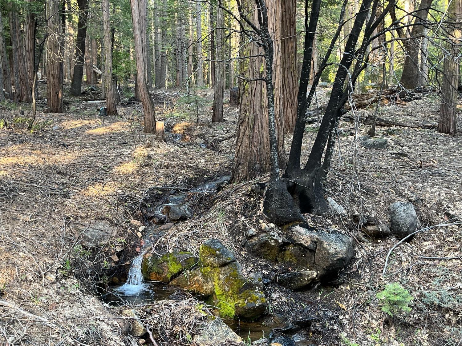 Photo of 54 Irqoquois Dr in Camp Connell, CA