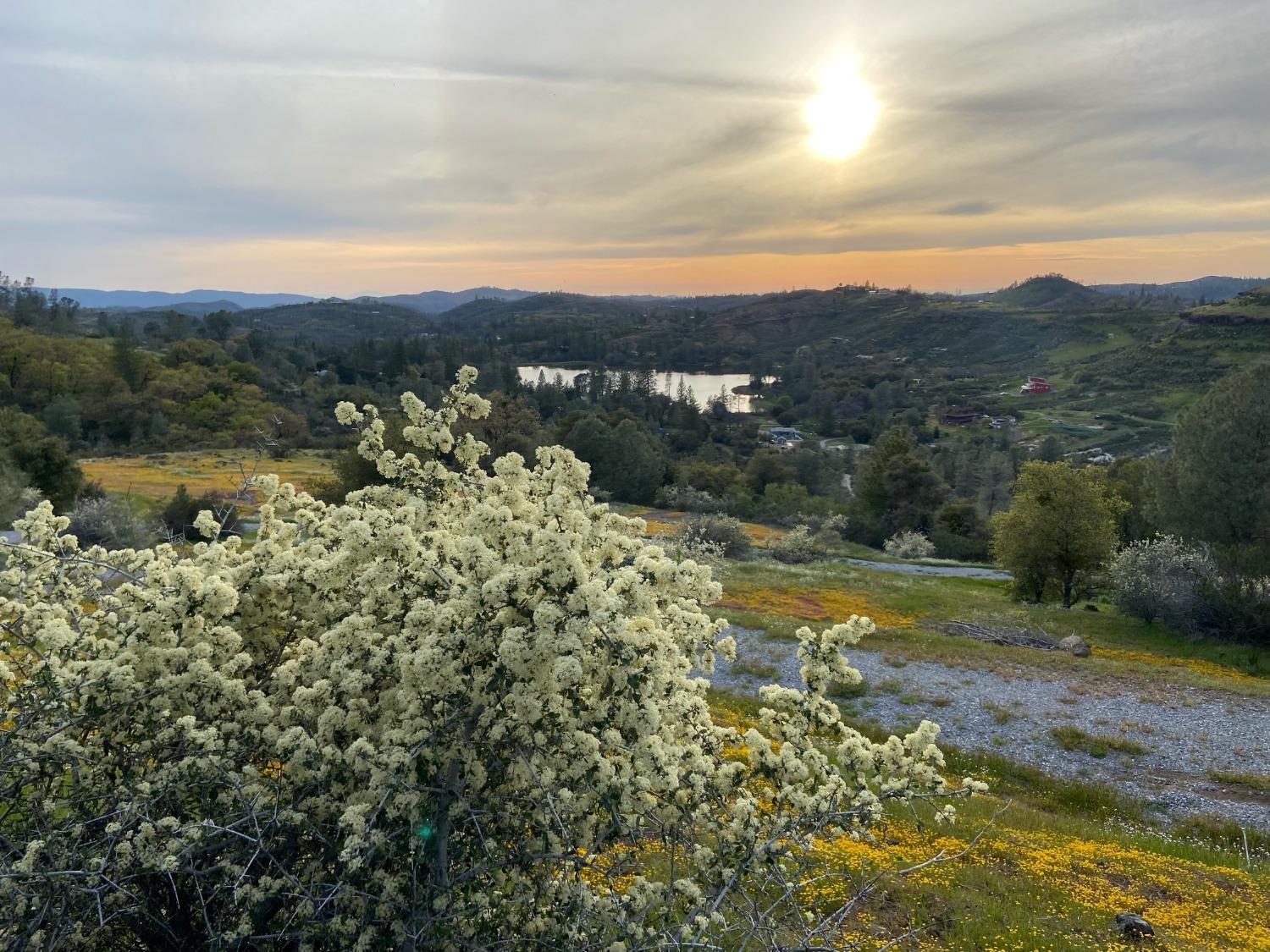 Photo of 0 Lakeview Dr in Mountain Ranch, CA