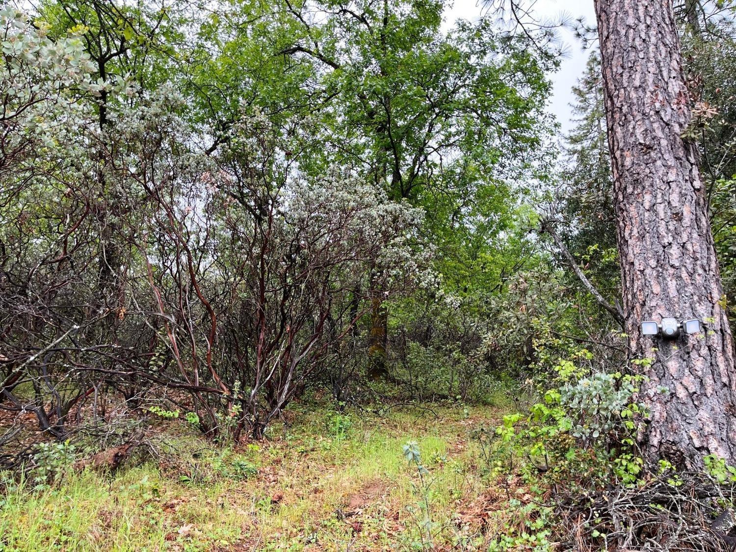 Photo of 1663 Nickerson #1636 in Murphys, CA
