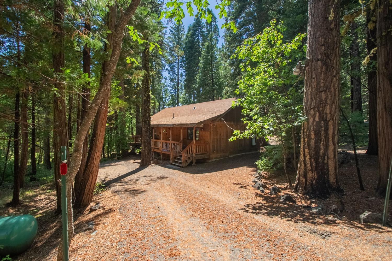 Photo of 3171 Shoshone Dr in Camp Connell, CA