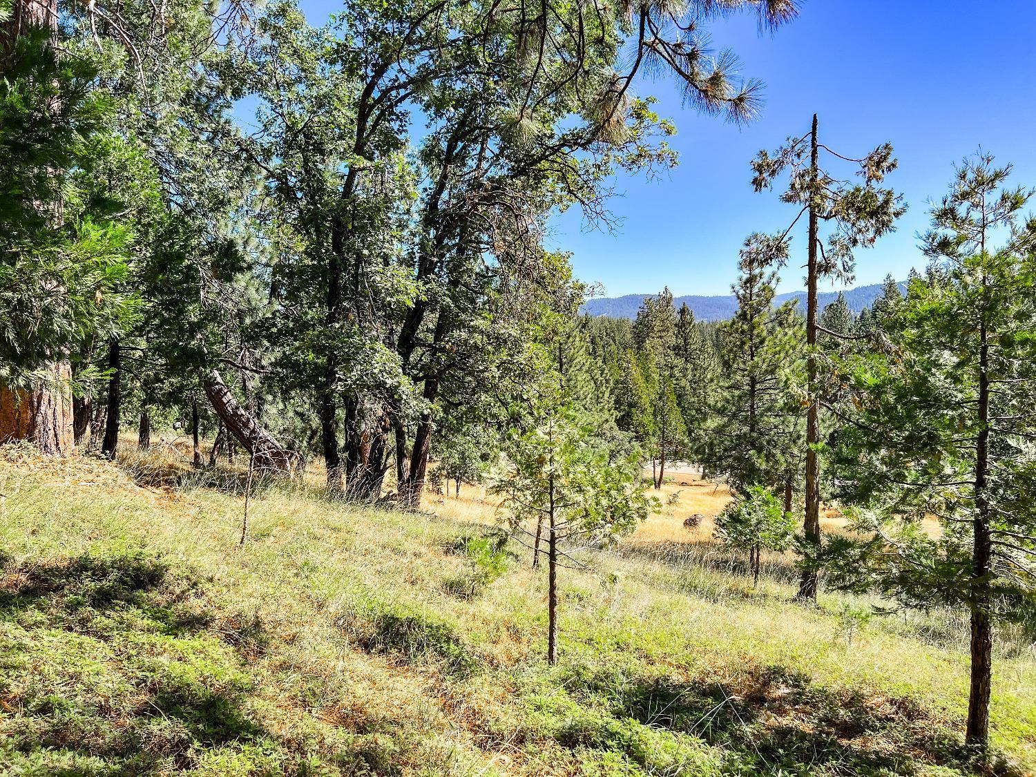 Photo of 2752 Placer Wy in Arnold, CA