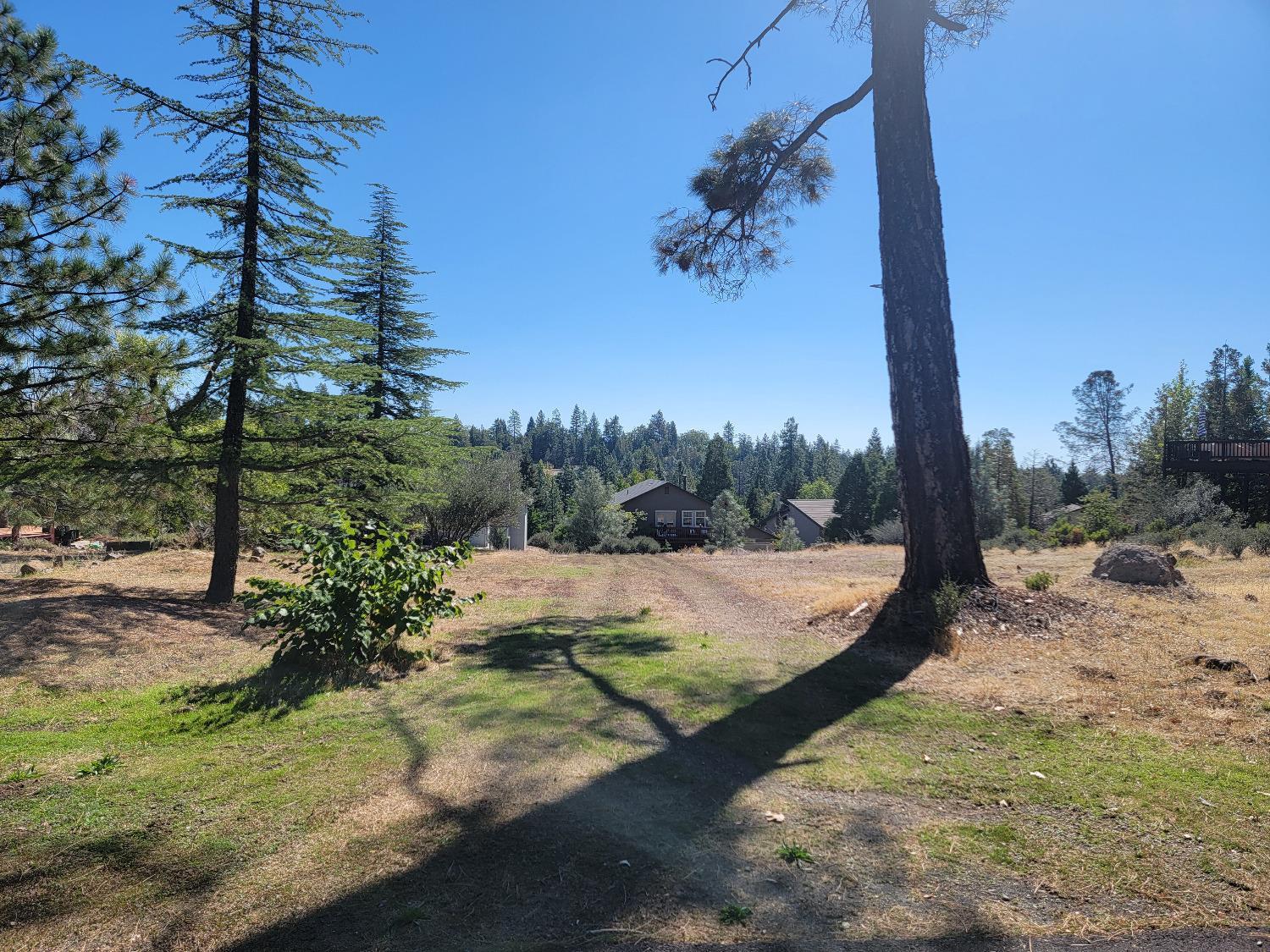 Photo of 575 Sugarbush Ln in Murphys, CA