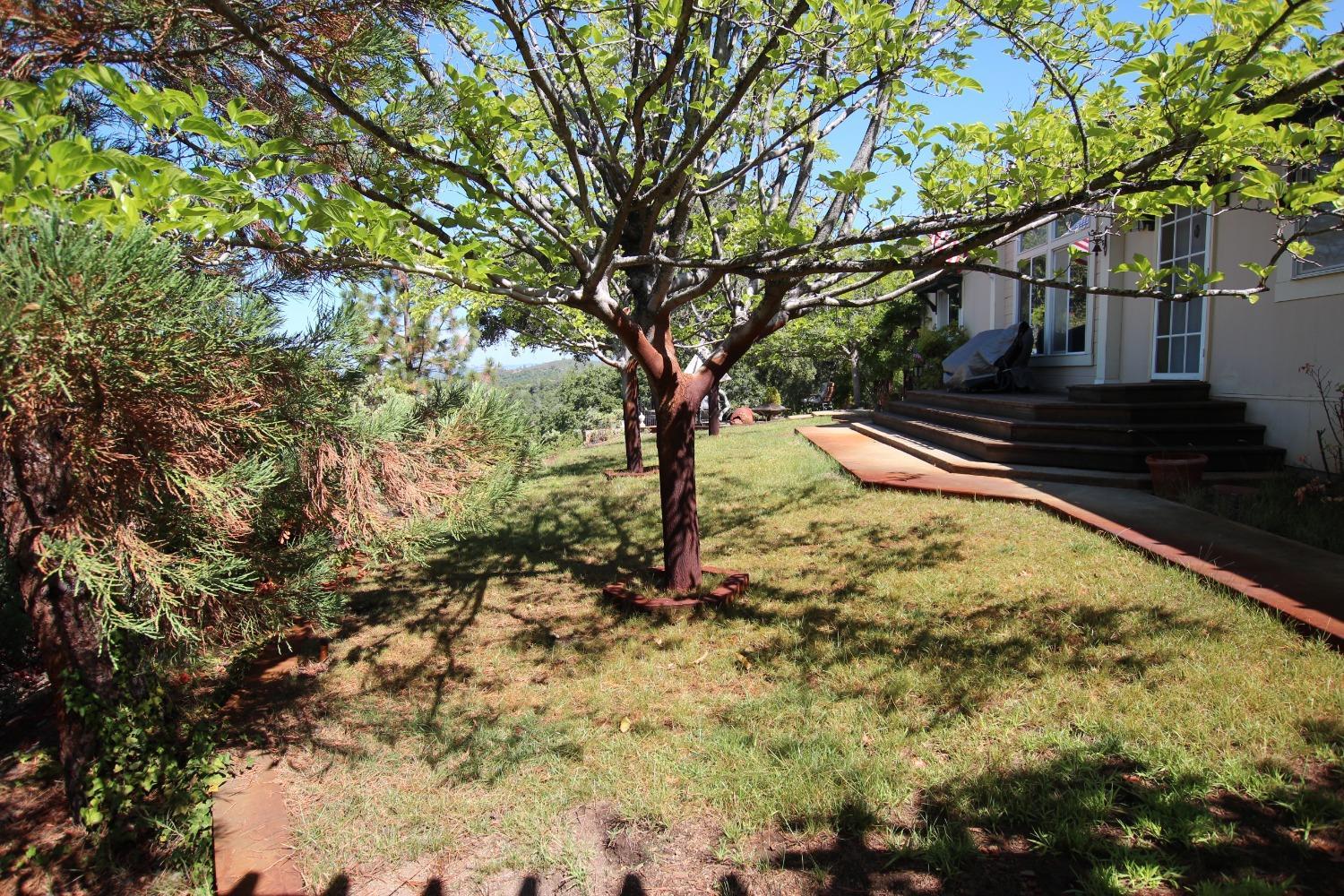 Photo of 4700 Murphys Camp Rd in Murphys, CA