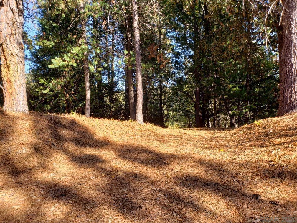 Photo of 1812 Sandalwood in Murphys, CA