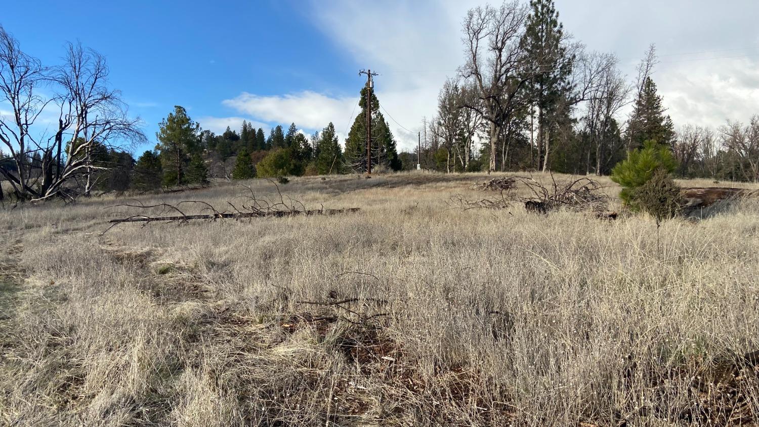Photo of 5028 Old Emigrant T in Mountain Ranch, CA