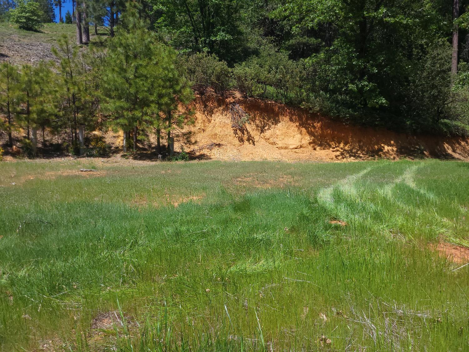 Photo of 218 Cedar Dr in Hathaway Pines, CA