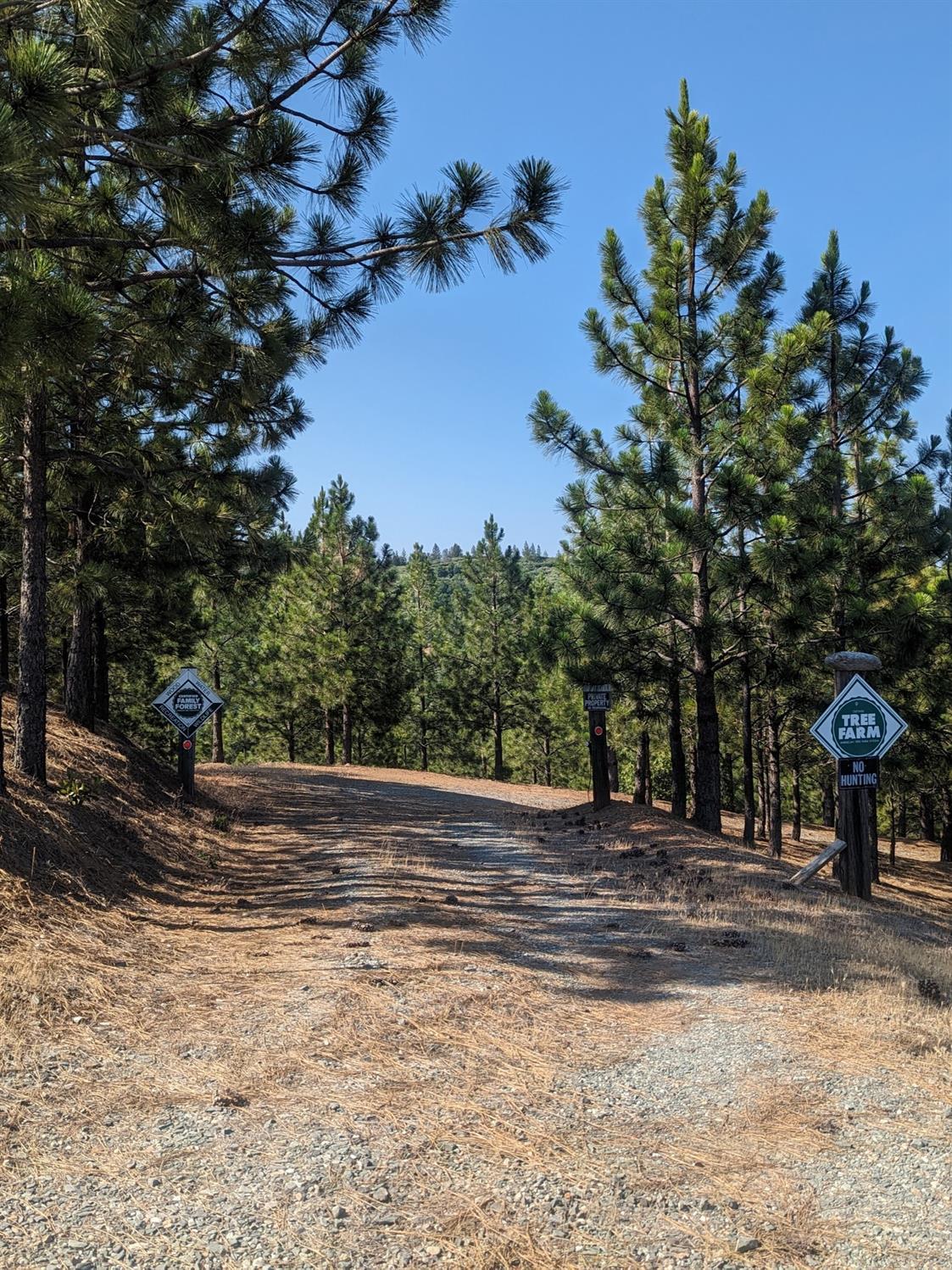 Photo of 0 Sheep Ranch Rd in Murphys, CA
