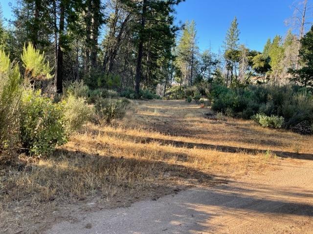 Photo of 18371 Pine Tree Wy in Mountain Ranch, CA