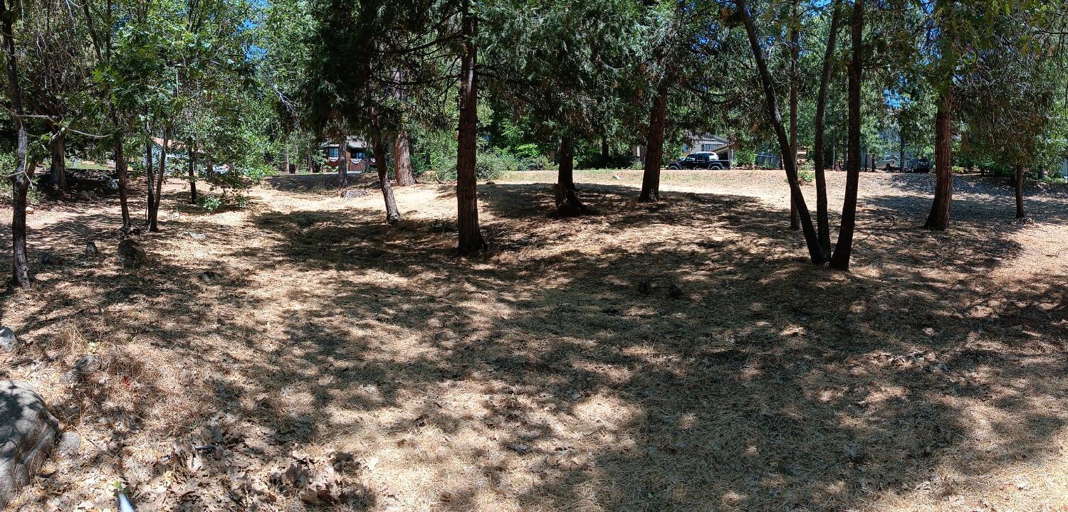Photo of 630 Dogwood Dr in Murphys, CA