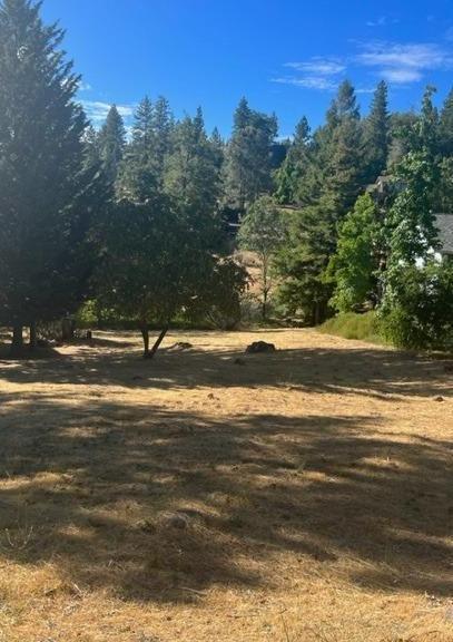 Photo of 752 Dogwood Dr in Murphys, CA