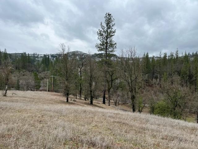 This 3+ acre parcel is gently rolling useable land and has easy access.  The Perfect building site for your new home. A must see.  Only 5 min from the small town of Mountain Ranch. Beautiful views, and many possibilities.  Just a few minutes drive to the town of Mountain Ranch where you will find groceries, gas, building supplies, school and much more.  Power Pole at the edge of the property.  Priced to sell.   Let's Work Together!