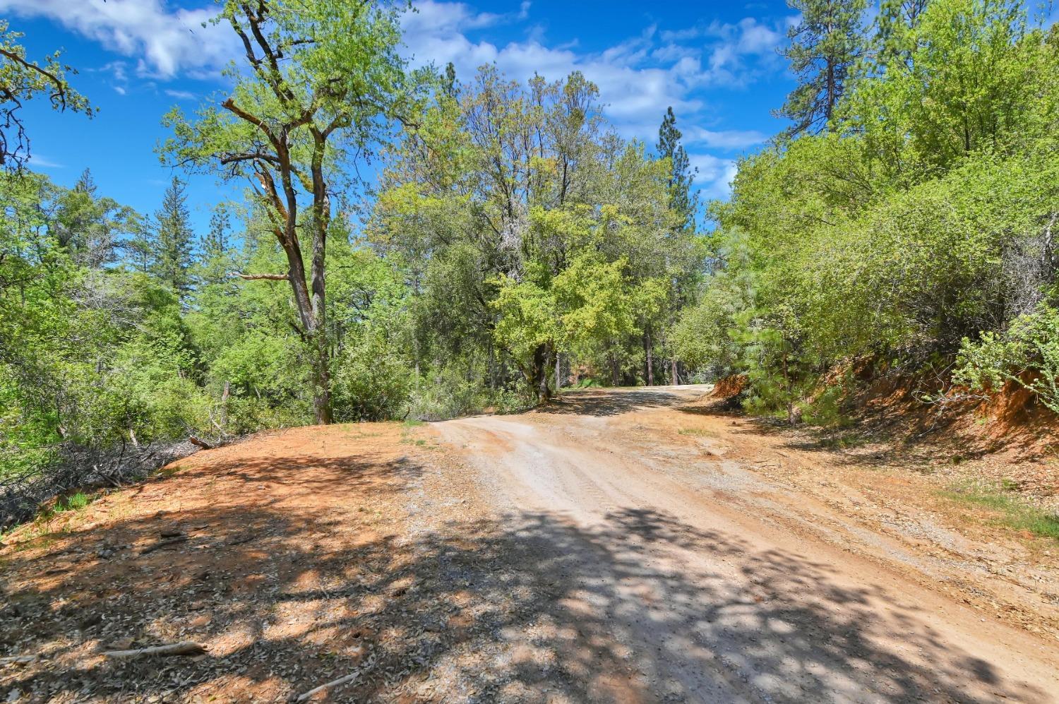 Photo of 12037 Armstrong Rd in Sheep Ranch, CA