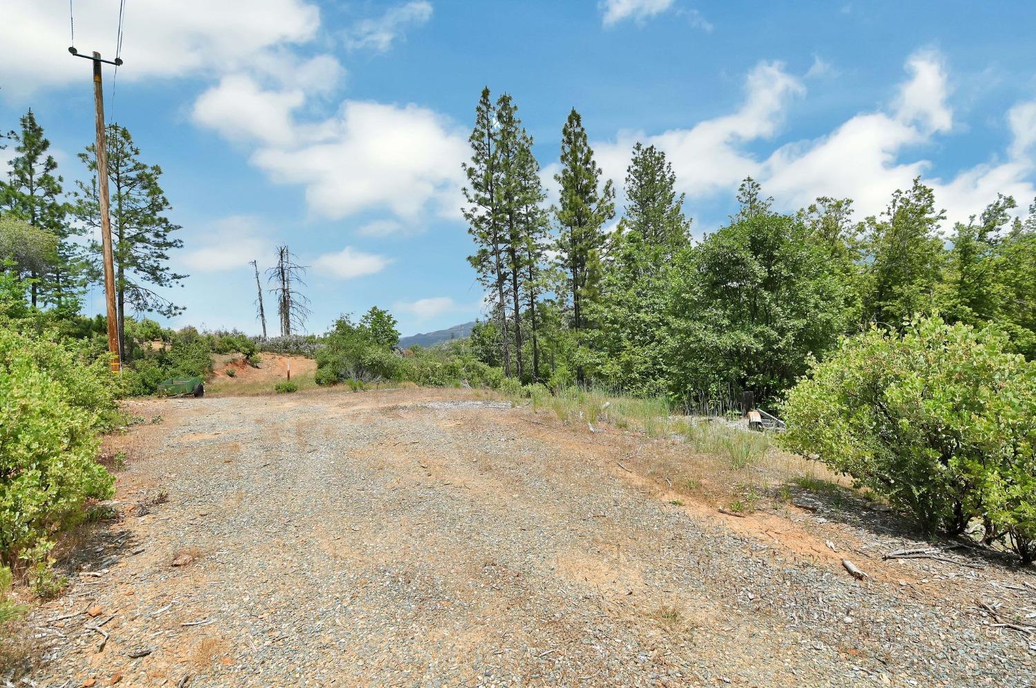 Photo of 0 Fricot City Rd in Sheep Ranch, CA