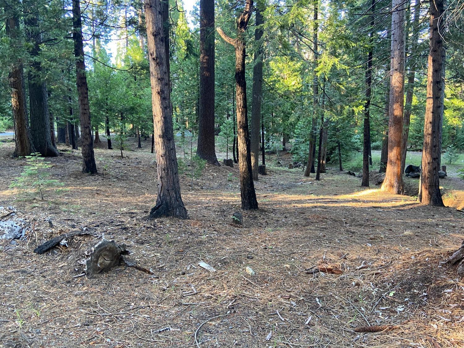 Photo of 2390 Karock Dr Dr in Dorrington, CA