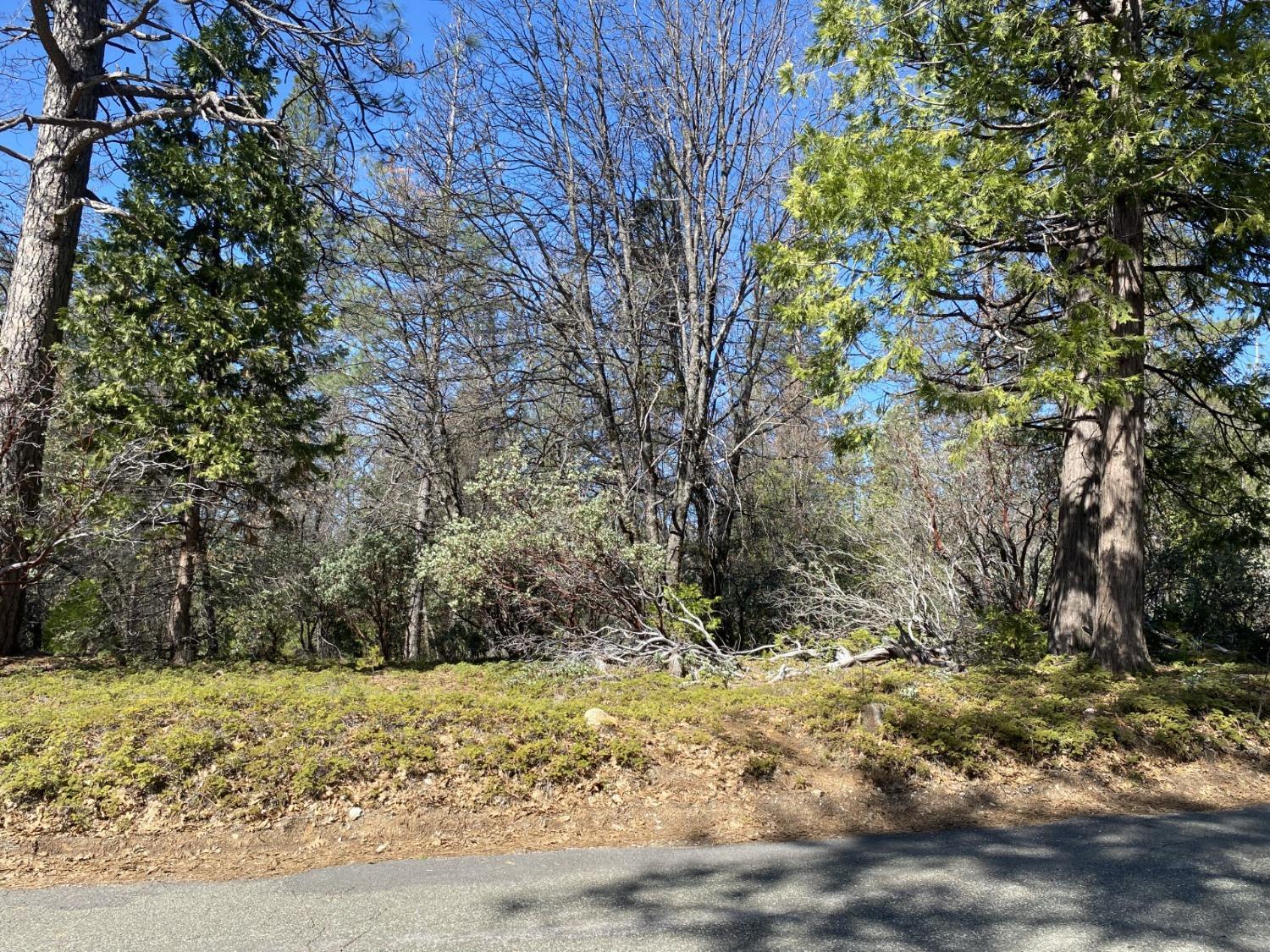 Photo of 1919 Lily Gap Rd in West Point, CA
